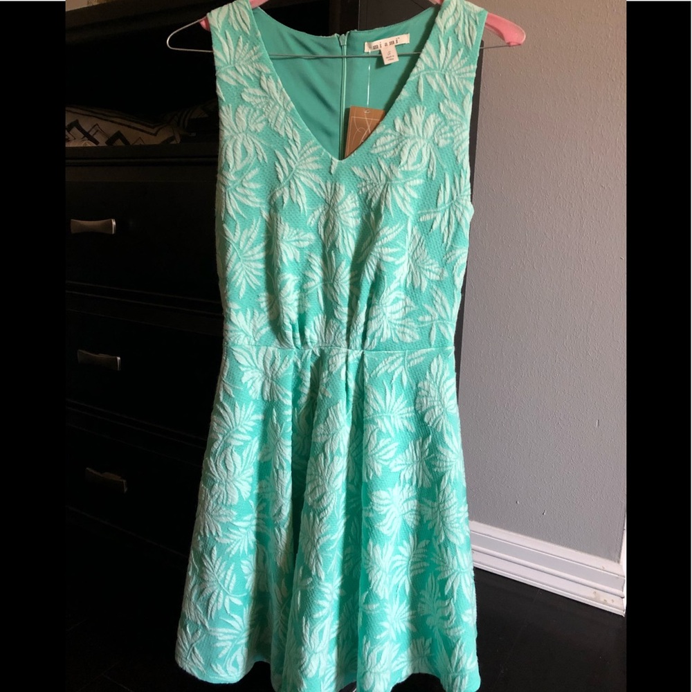 Francesca’s Dress 👗